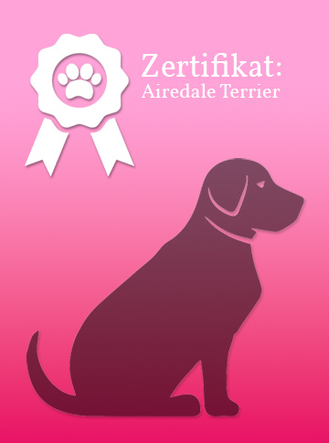 Zertifikat