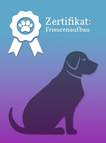 Zertifikat