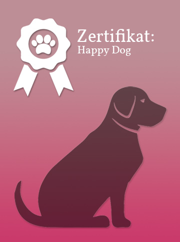 Zertifikat