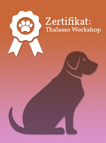 Zertifikat