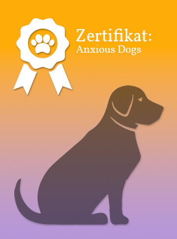 Zertifikat