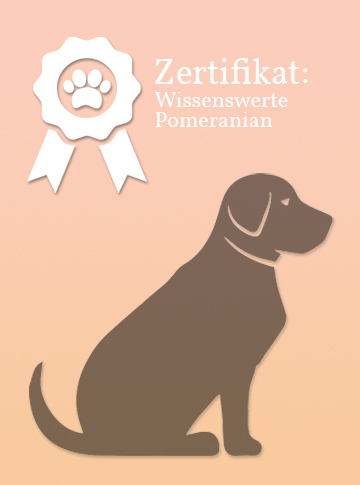 Zertifikat
