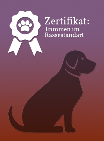 Zertifikat