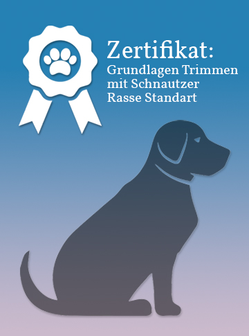 Zertifikat