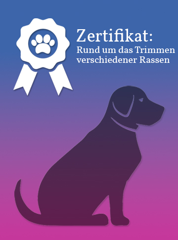 Zertifikat